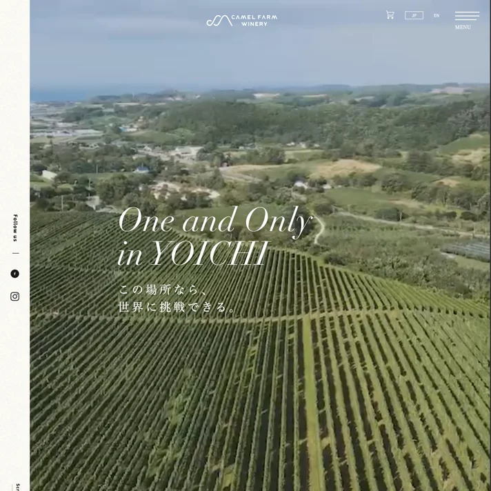 CAMEL FARM WINERY – キャメルファーム ワイナリー公式サイトのWebサイトデザイン
