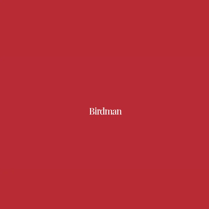 株式会社BirdmanのWebサイトデザイン