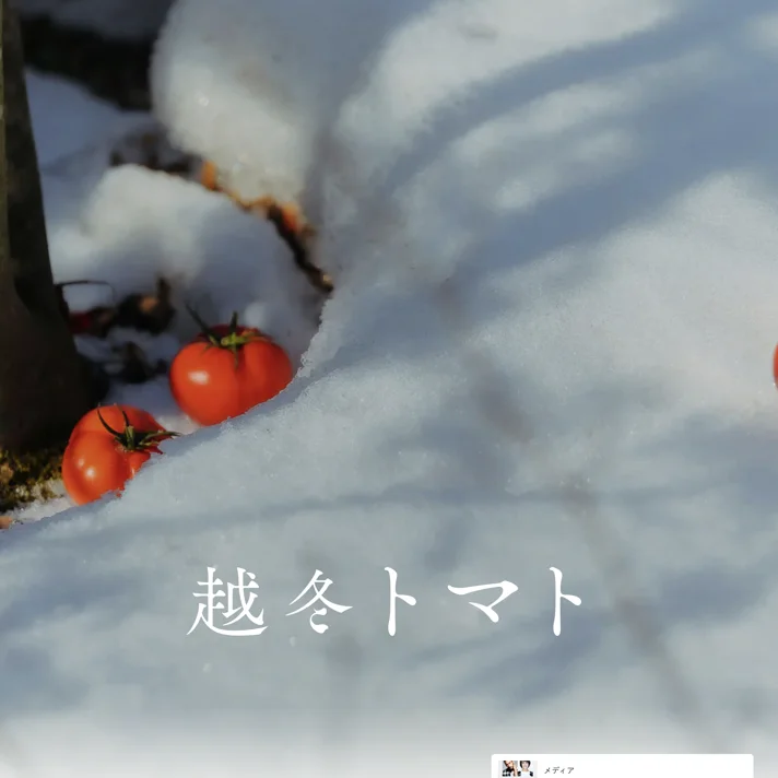 曽我農園｜曽我農園のWebサイトデザイン